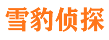 小河外遇出轨调查取证